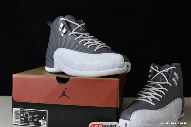 STEALTH CT8025-610 JORDAN AIR 12 0723